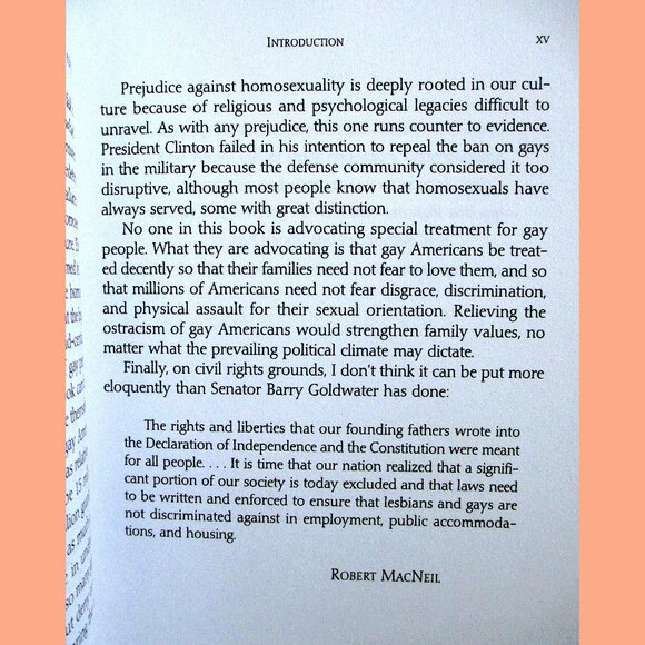 Book - Straight Parents, Gay Children: Inspiring Families to Live Honestly.... - Picture 5 of 14